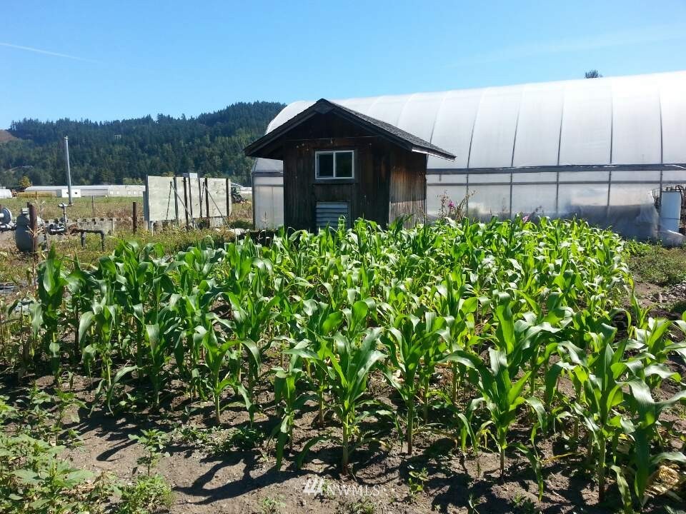 8217 Riverside Road East Sumner, WA 98390 - Photo 2 of 8