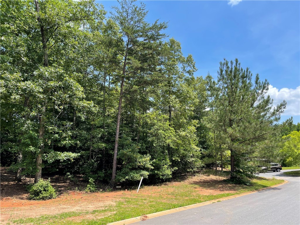 143 Old Compton Street Pendleton, SC 29670 - Photo 2 of 9