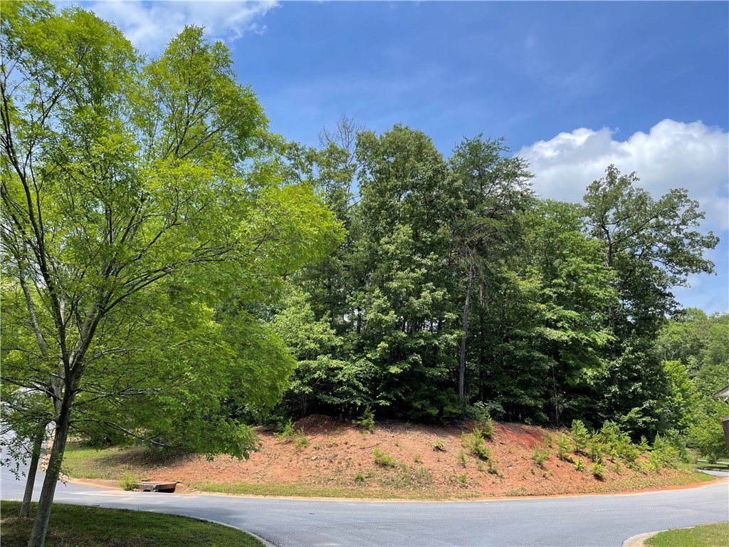 143 Old Compton Street Pendleton, SC 29670 - Photo 4 of 9
