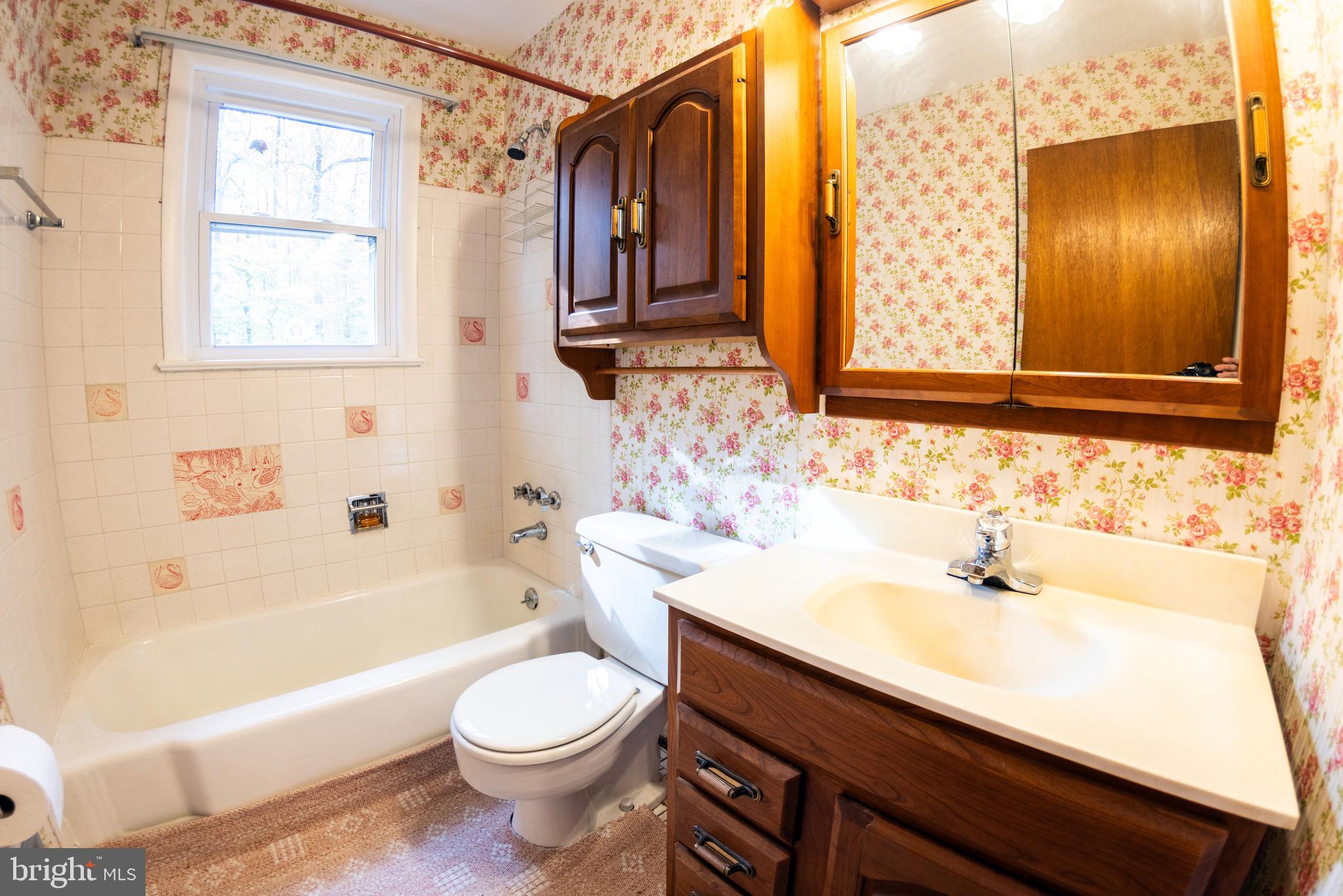 2720 Hidden Valley Road Accokeek, MD 20607 - Photo 21 of 43 a bathroom with a sink a toilet and bathtub