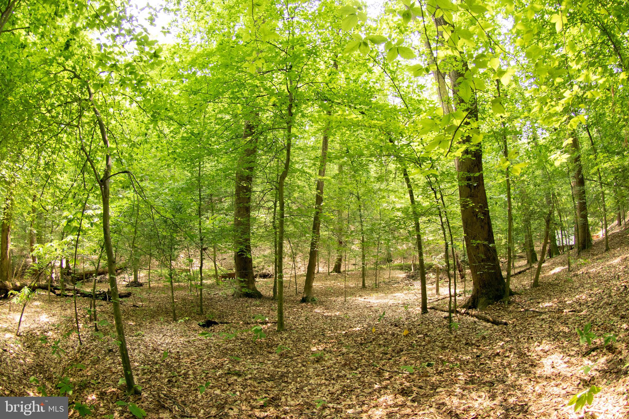 2720 Hidden Valley Road Accokeek, MD 20607 - Photo 33 of 43 a view of yard