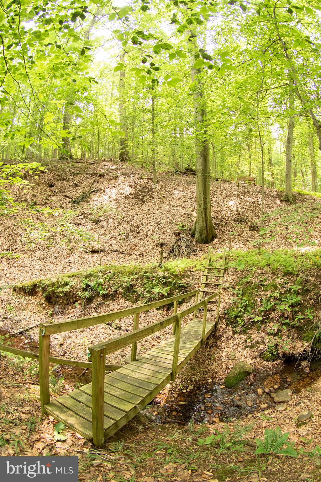 2720 Hidden Valley Road Accokeek, MD 20607 - Photo 37 of 43 a view of yard with large trees