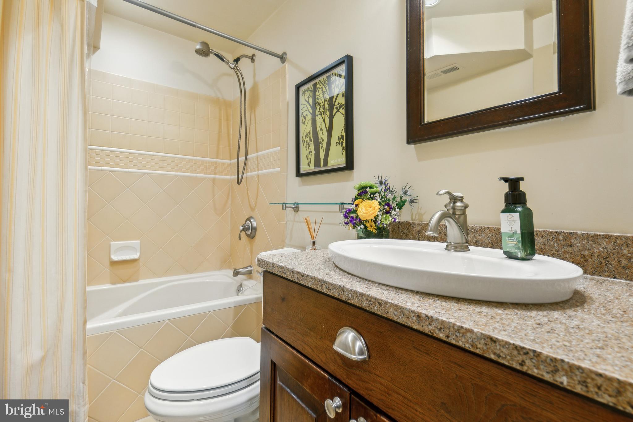 5019 Willowmeade Drive Fairfax, VA 22030 - Photo 70 of 77 full bath in lower level