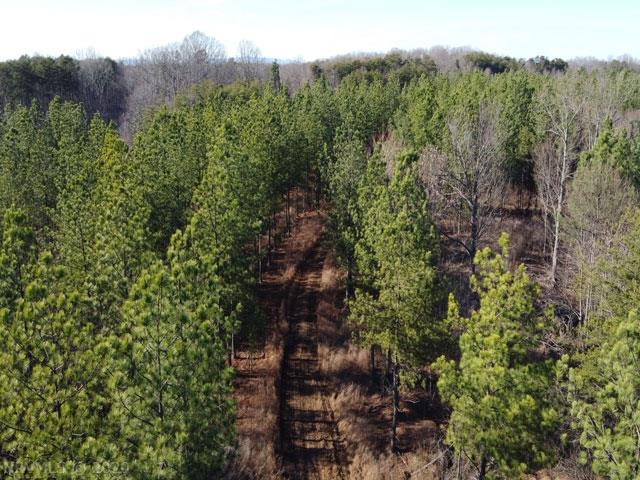 220 Bus Road Stoneville, NC 27048 - Photo 36 of 40 Gallery Image 36
