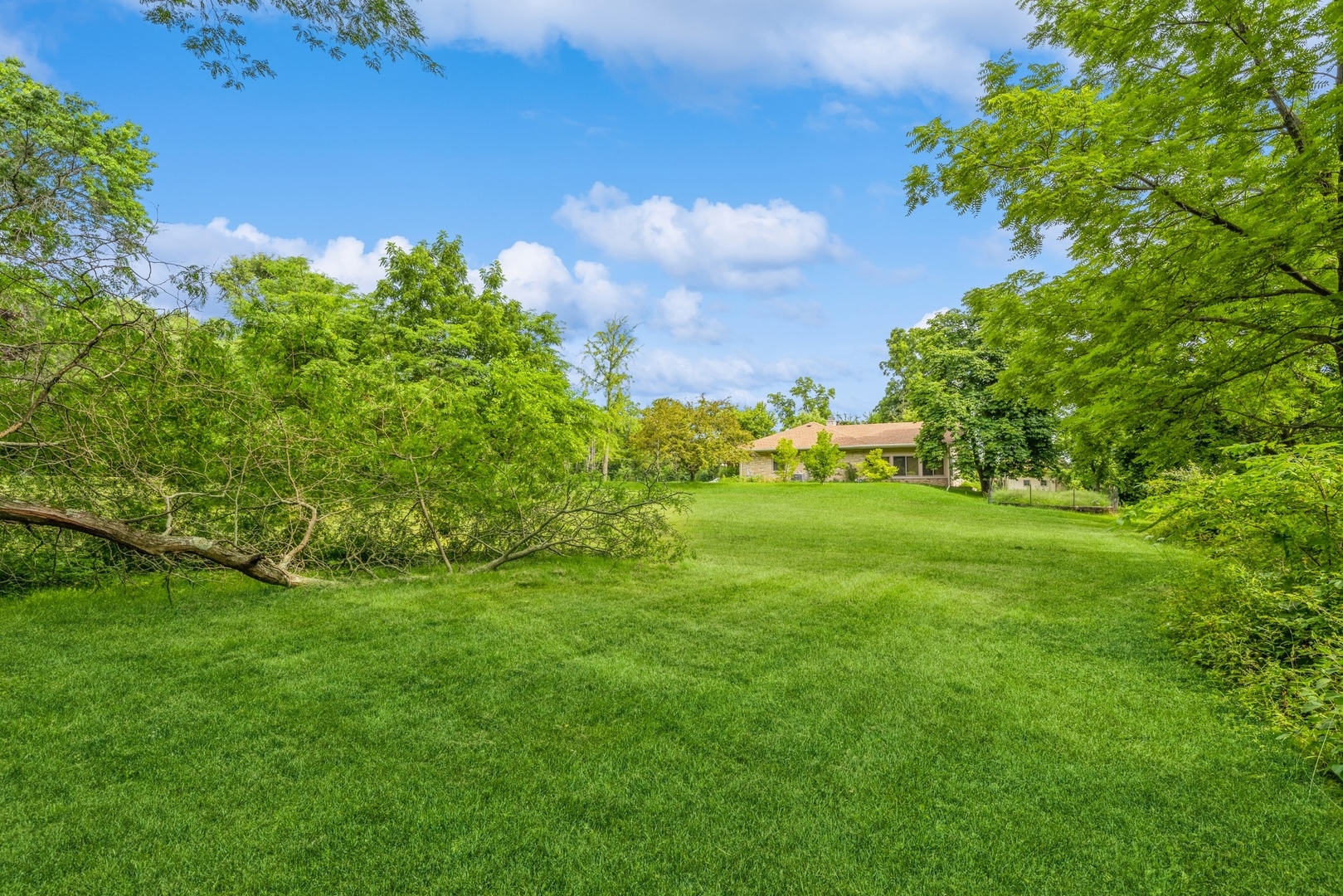 37231 North Ganster Road Beach Park, IL 60087 - Photo 7 of 11 a view of a grassy field with trees