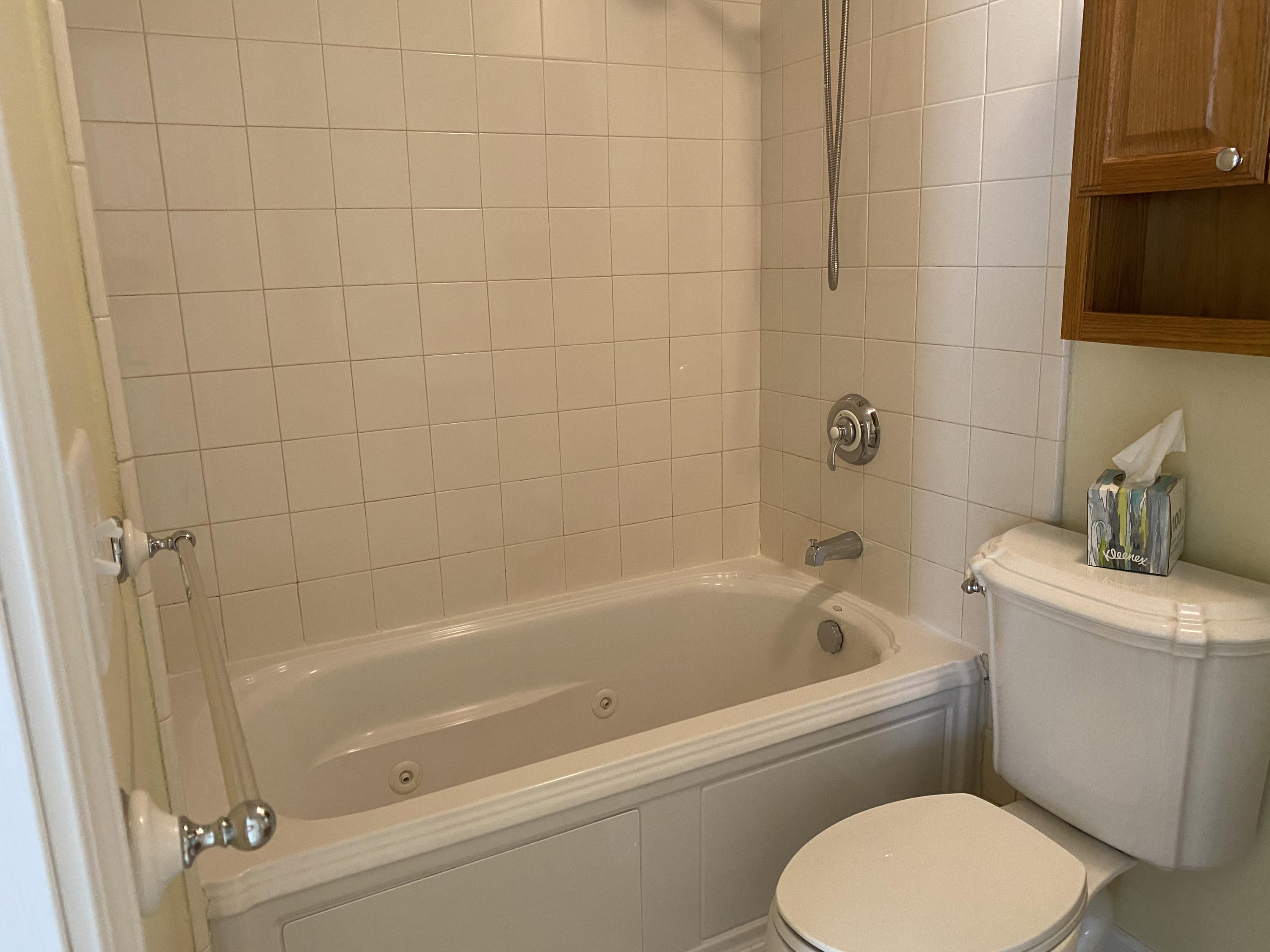 125 Wheeler Road Summerville, SC 29486 - Photo 22 of 40 Hall Bath Jetted Tub