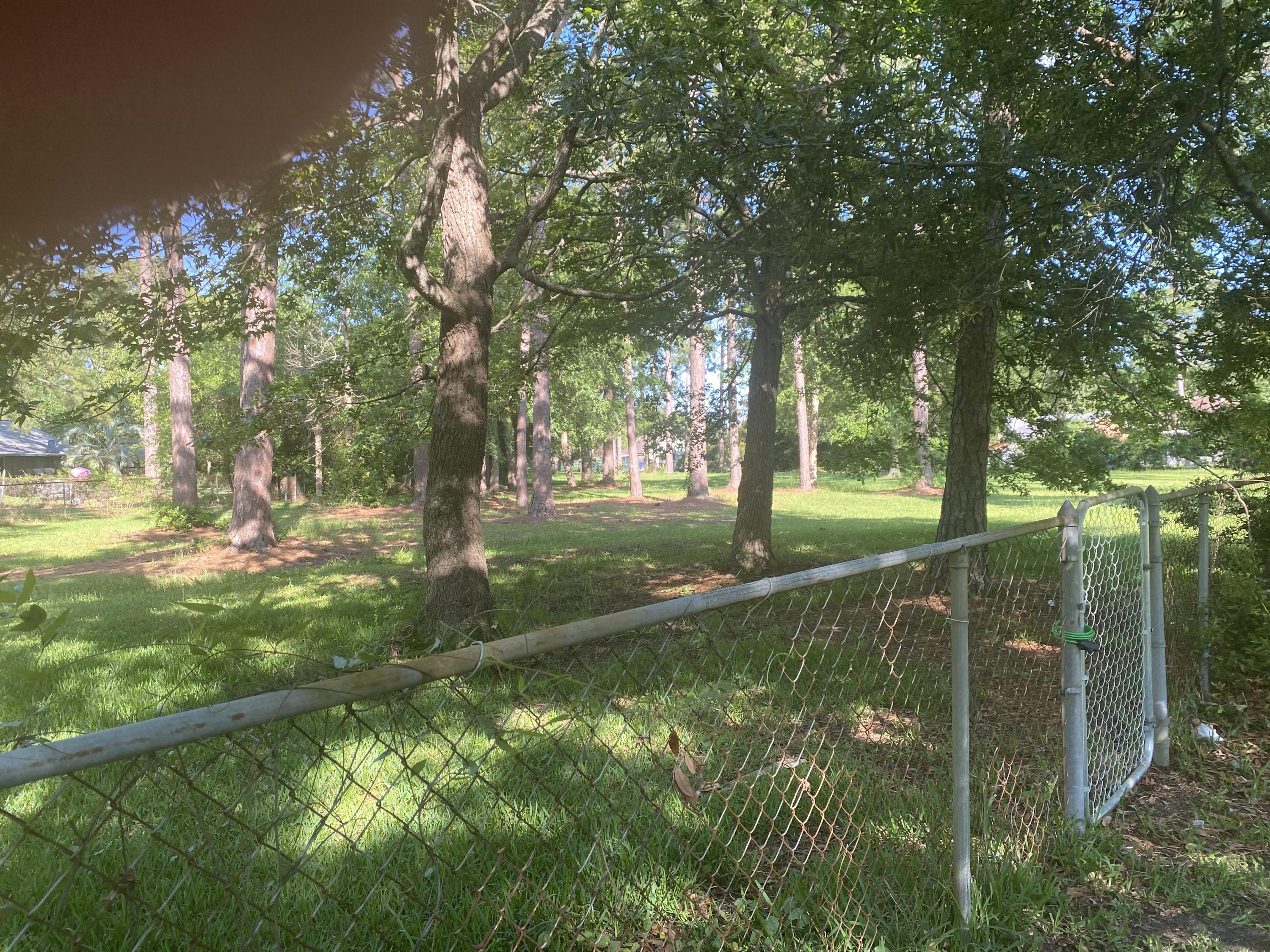 125 Wheeler Road Summerville, SC 29486 - Photo 40 of 40 Green Space behind the yard