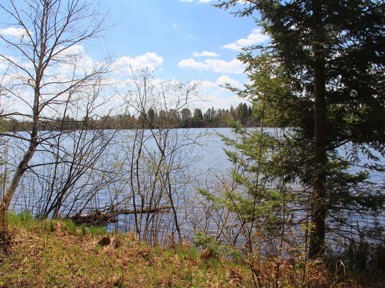 Lot20-21 Weber Lake Road Mercer, WI 54547 - Photo 12 of 15 Gallery Image 12