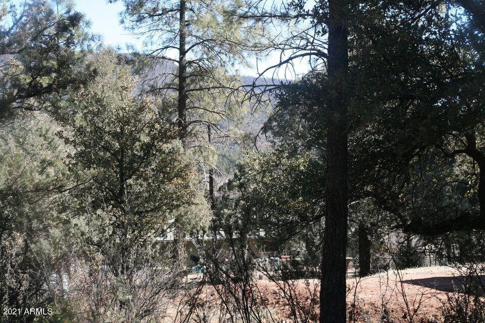 3810 Anvil Road Pine, AZ 85544 - Photo 12 of 103 11