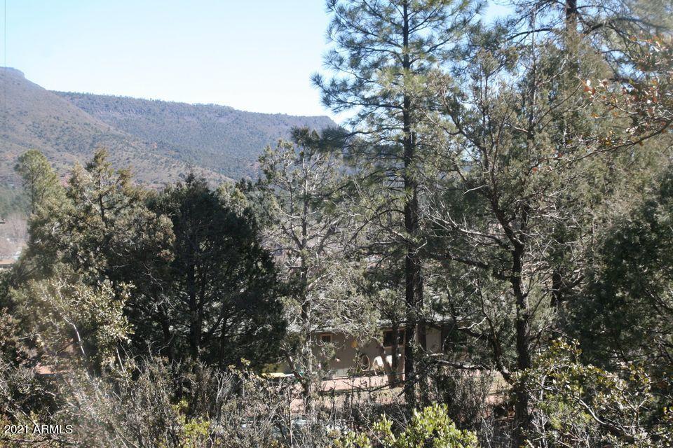 3810 Anvil Road Pine, AZ 85544 - Photo 3 of 103 9