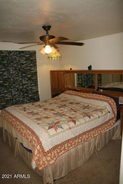 3810 Anvil Road Pine, AZ 85544 - Photo 68 of 103 68