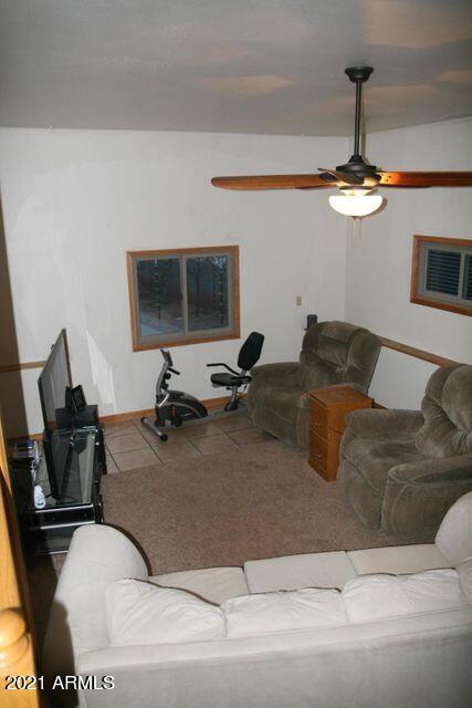 3810 Anvil Road Pine, AZ 85544 - Photo 74 of 103 74