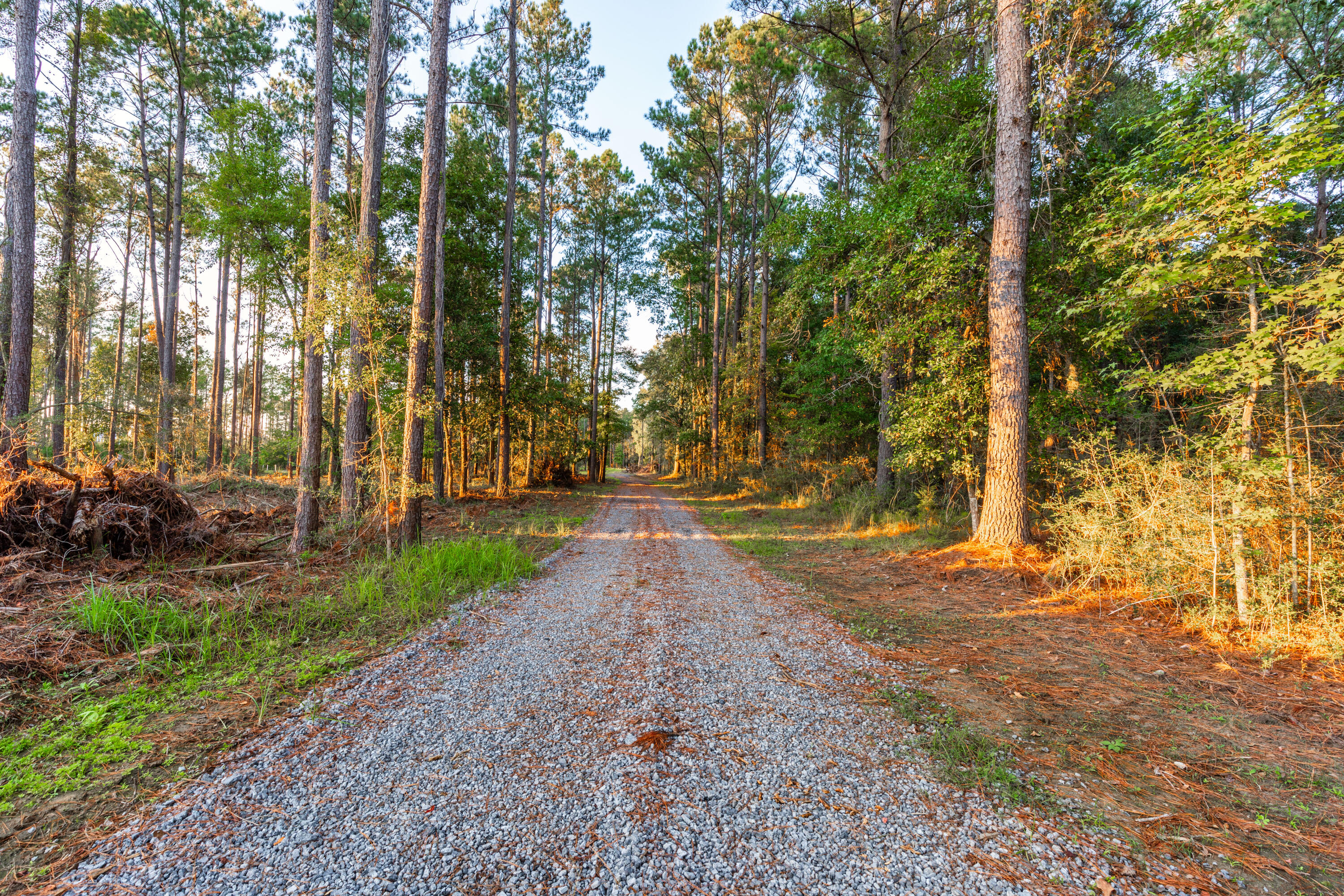 6210 Church Flats Road Hollywood, SC 29449 - Photo 16 of 26 6210 Church Flats-14
