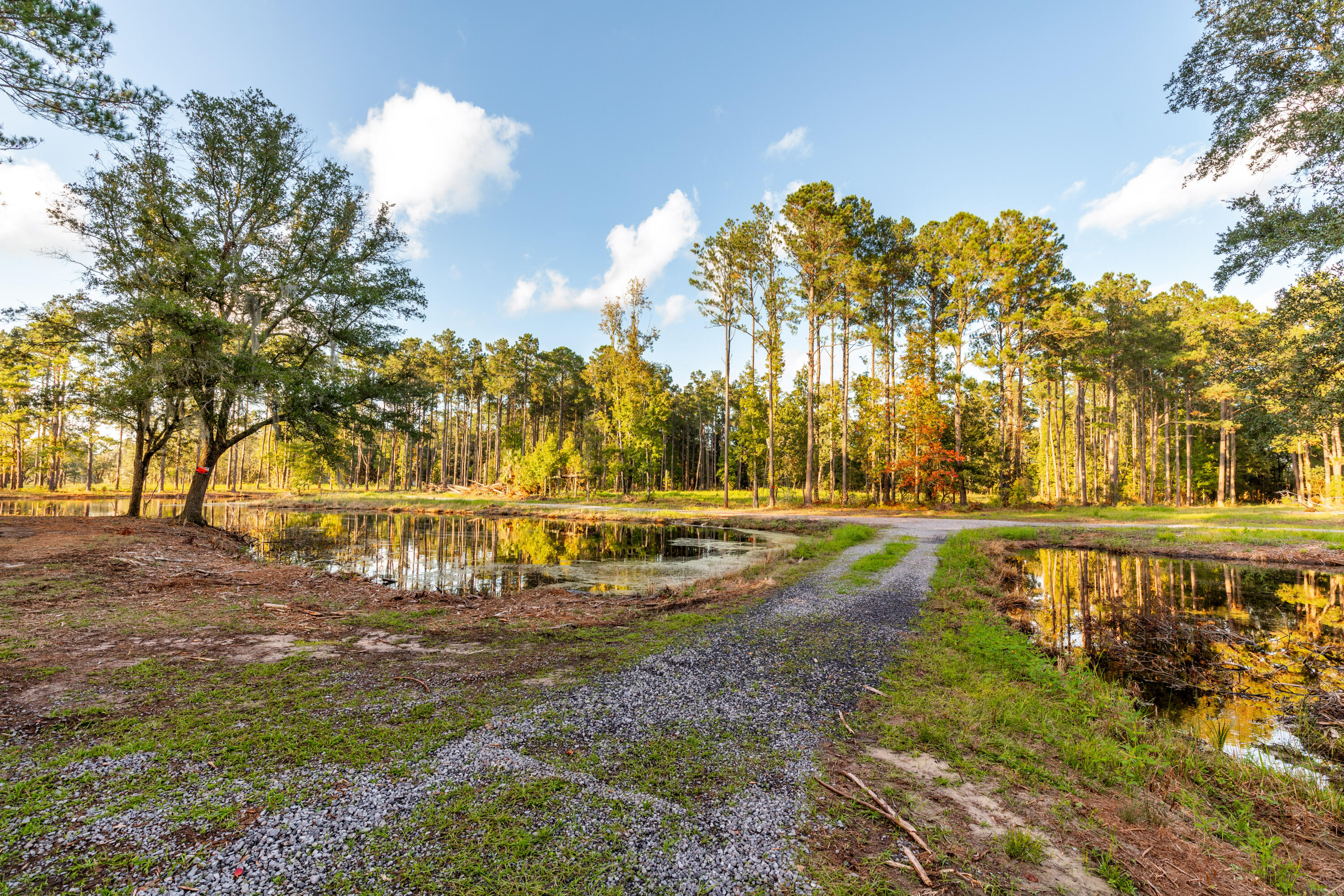 6210 Church Flats Road Hollywood, SC 29449 - Photo 10 of 26 6210 Church Flats-20
