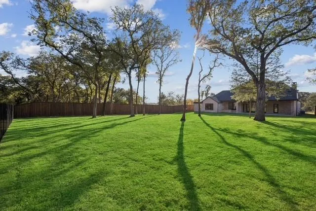 a view of a park with large trees