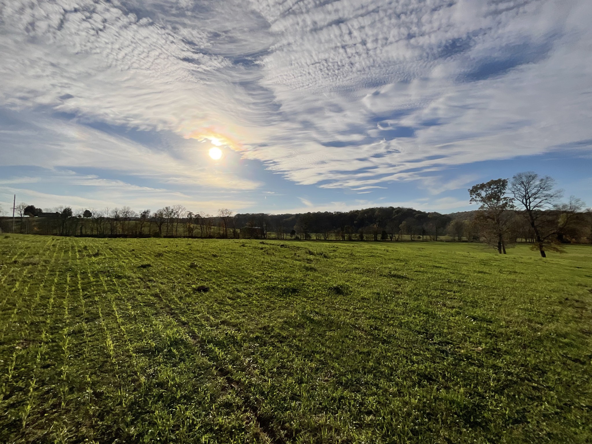 1 Possum Hollow Road Palmyra, TN 37142 - Photo 11 of 54 Gallery Image 11