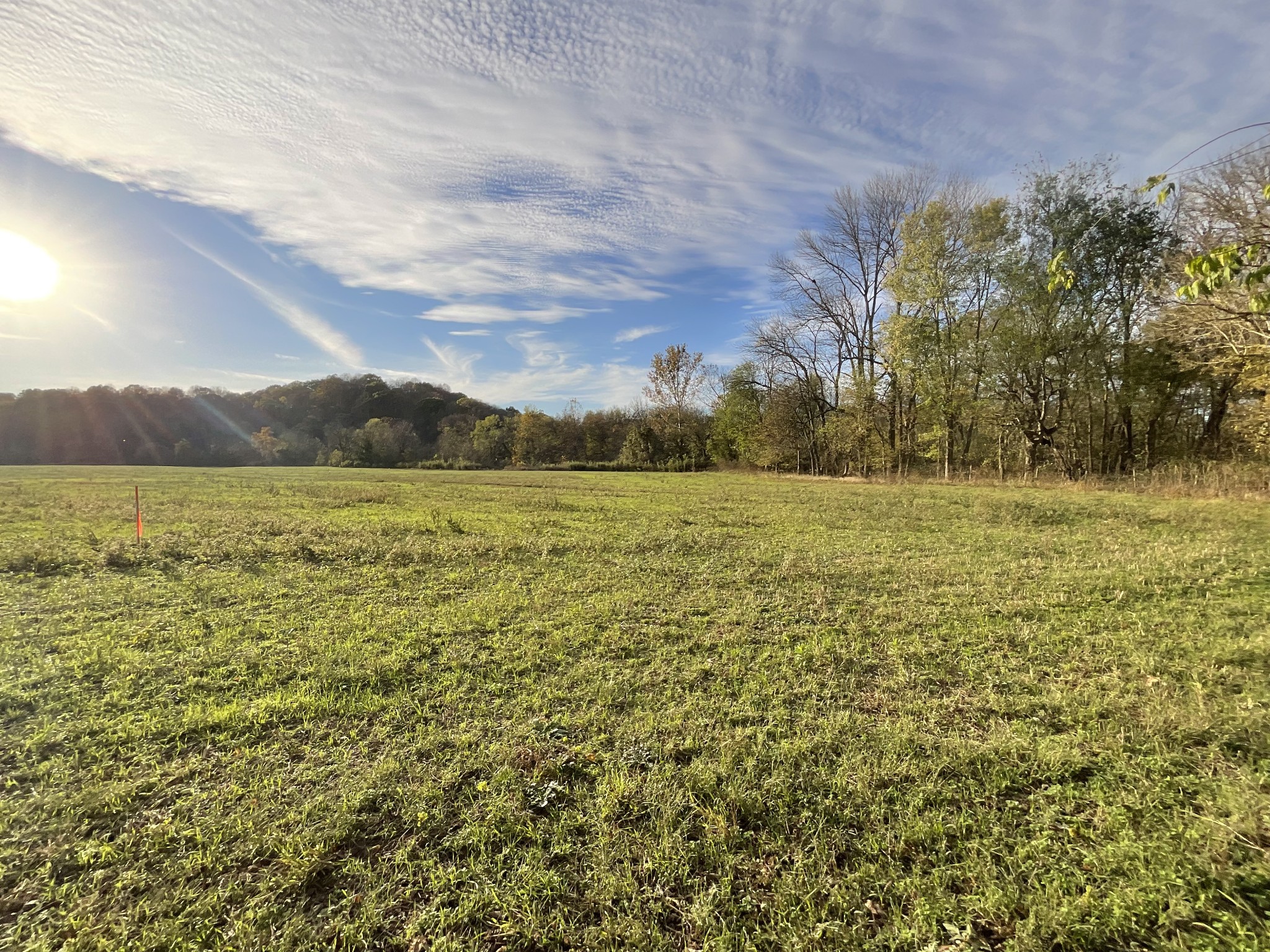 1 Possum Hollow Road Palmyra, TN 37142 - Photo 14 of 54 Gallery Image 14