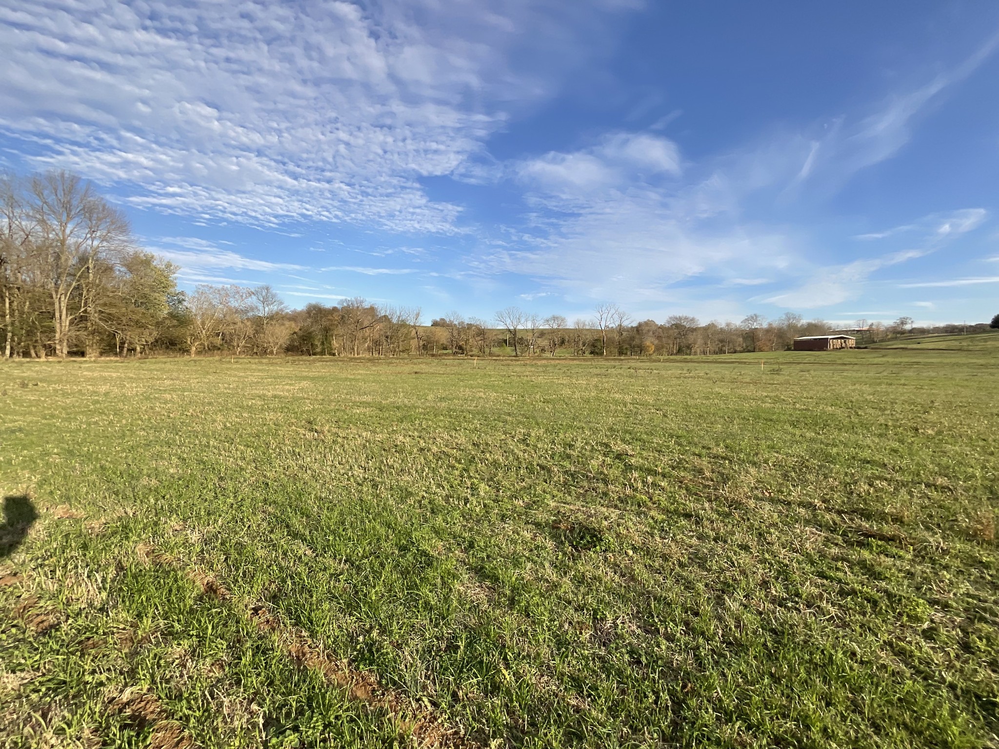 1 Possum Hollow Road Palmyra, TN 37142 - Photo 19 of 54 Gallery Image 19