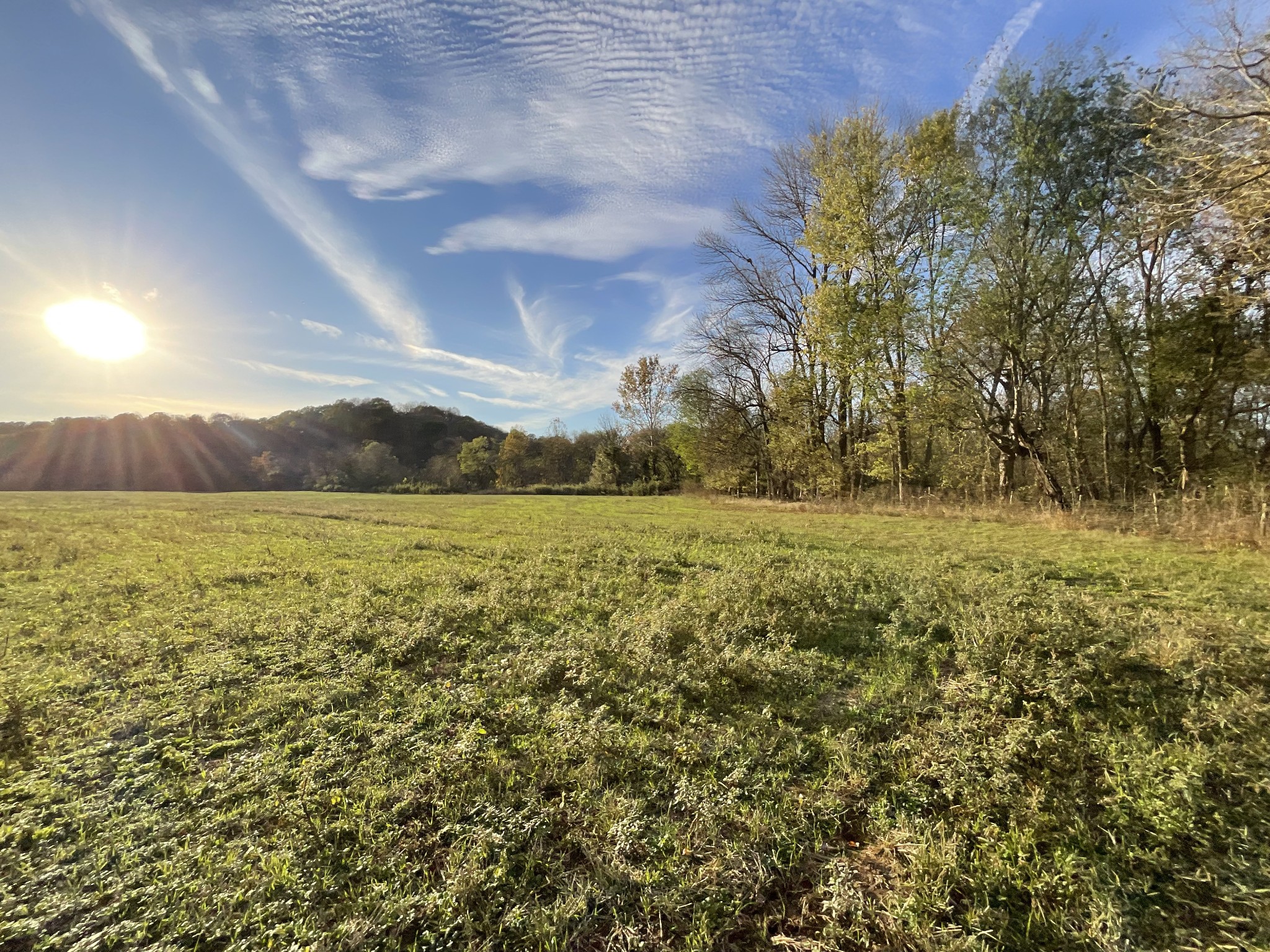 1 Possum Hollow Road Palmyra, TN 37142 - Photo 21 of 54 Gallery Image 21