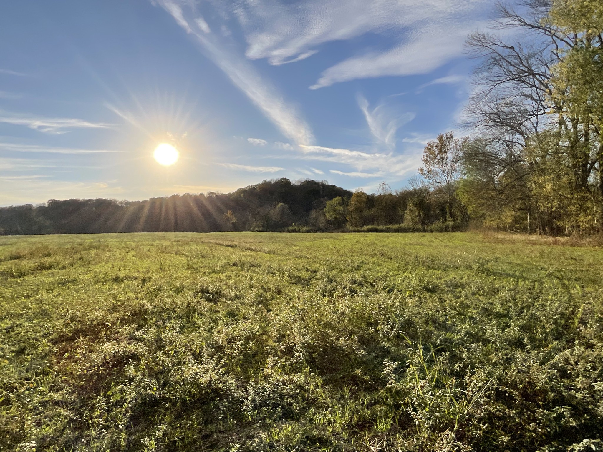 1 Possum Hollow Road Palmyra, TN 37142 - Photo 23 of 54 Gallery Image 23