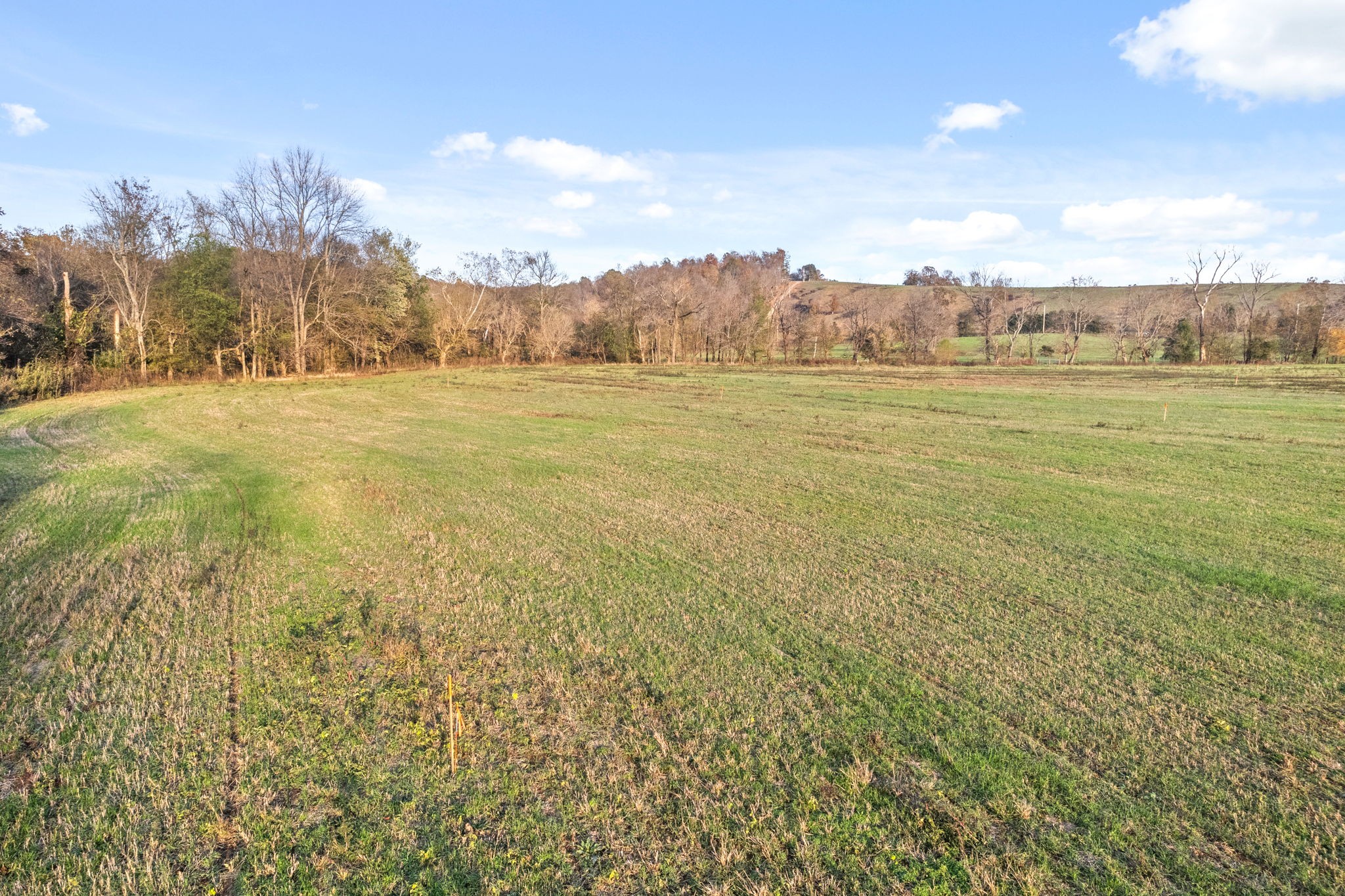 1 Possum Hollow Road Palmyra, TN 37142 - Photo 27 of 54 Gallery Image 27