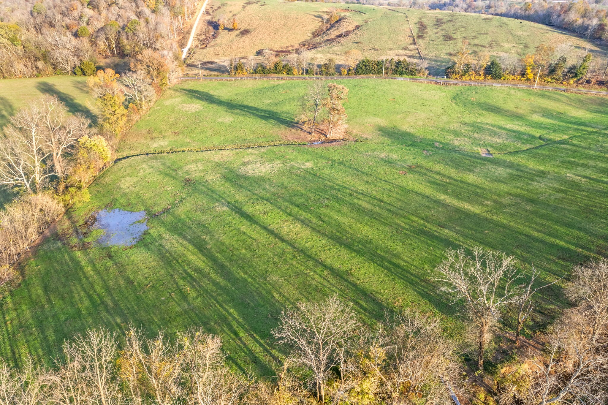 1 Possum Hollow Road Palmyra, TN 37142 - Photo 30 of 54 Gallery Image 30