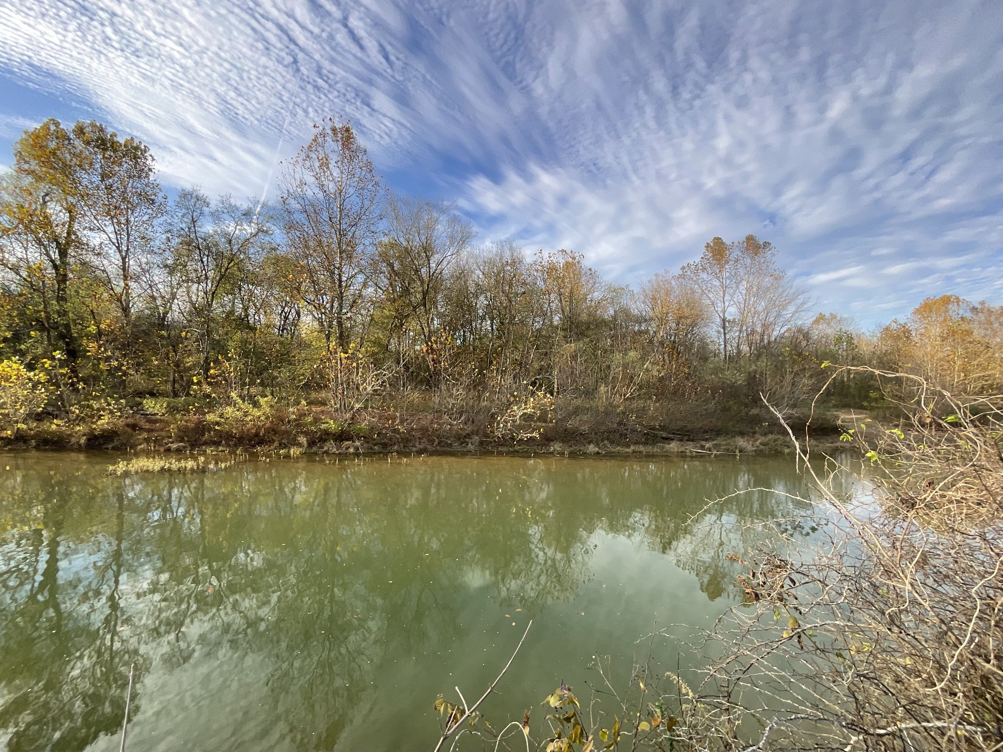 1 Possum Hollow Road Palmyra, TN 37142 - Photo 3 of 54 Gallery Image 3