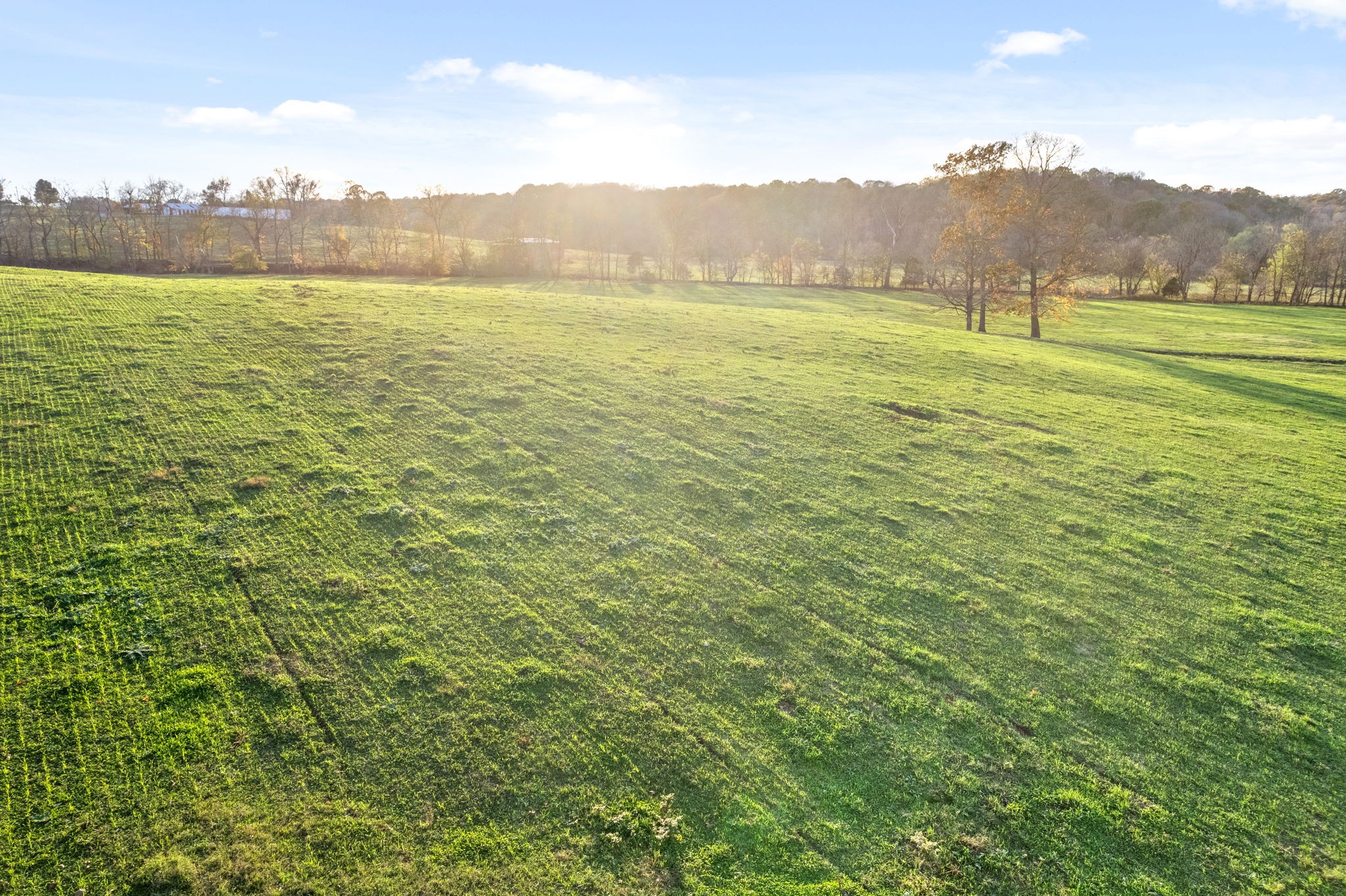 1 Possum Hollow Road Palmyra, TN 37142 - Photo 34 of 54 Gallery Image 34