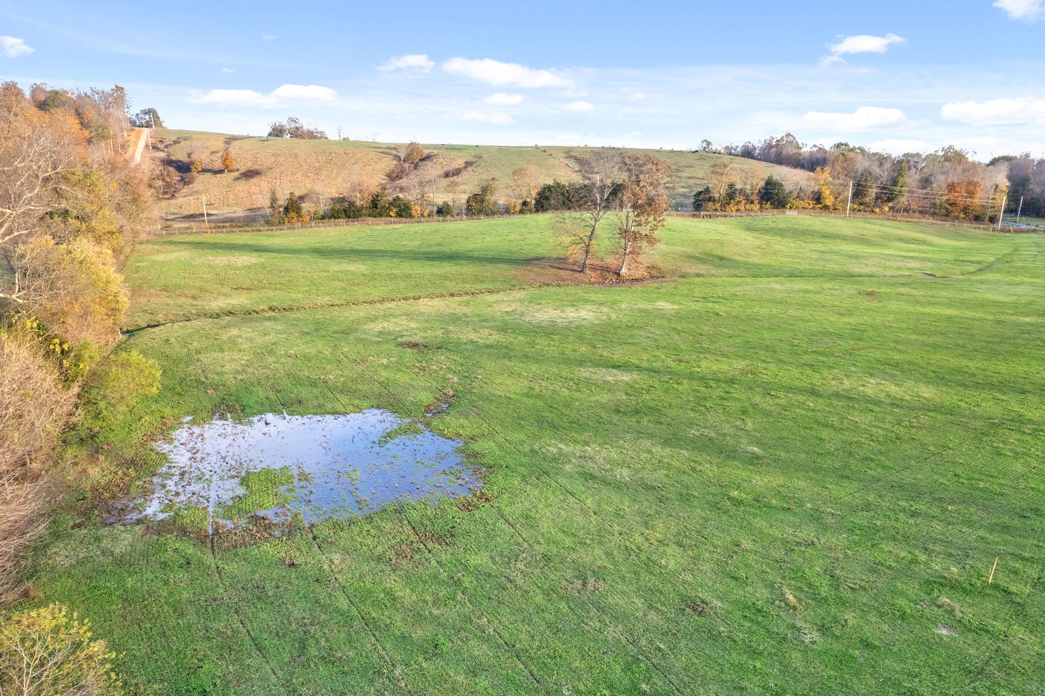 1 Possum Hollow Road Palmyra, TN 37142 - Photo 36 of 54 Gallery Image 36