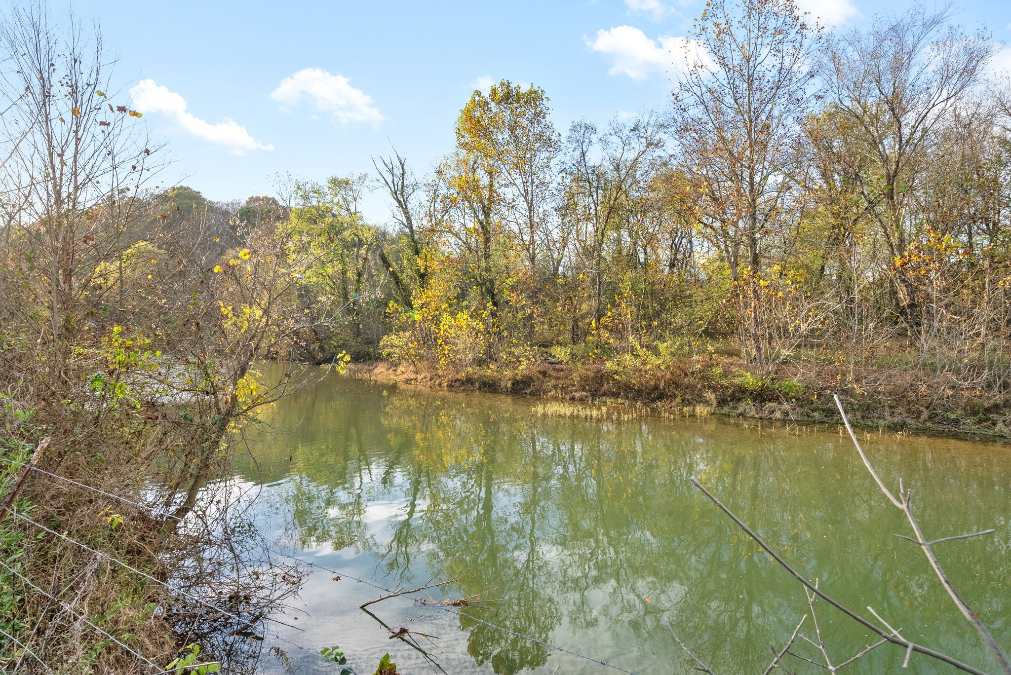 1 Possum Hollow Road Palmyra, TN 37142 - Photo 37 of 54 Gallery Image 37
