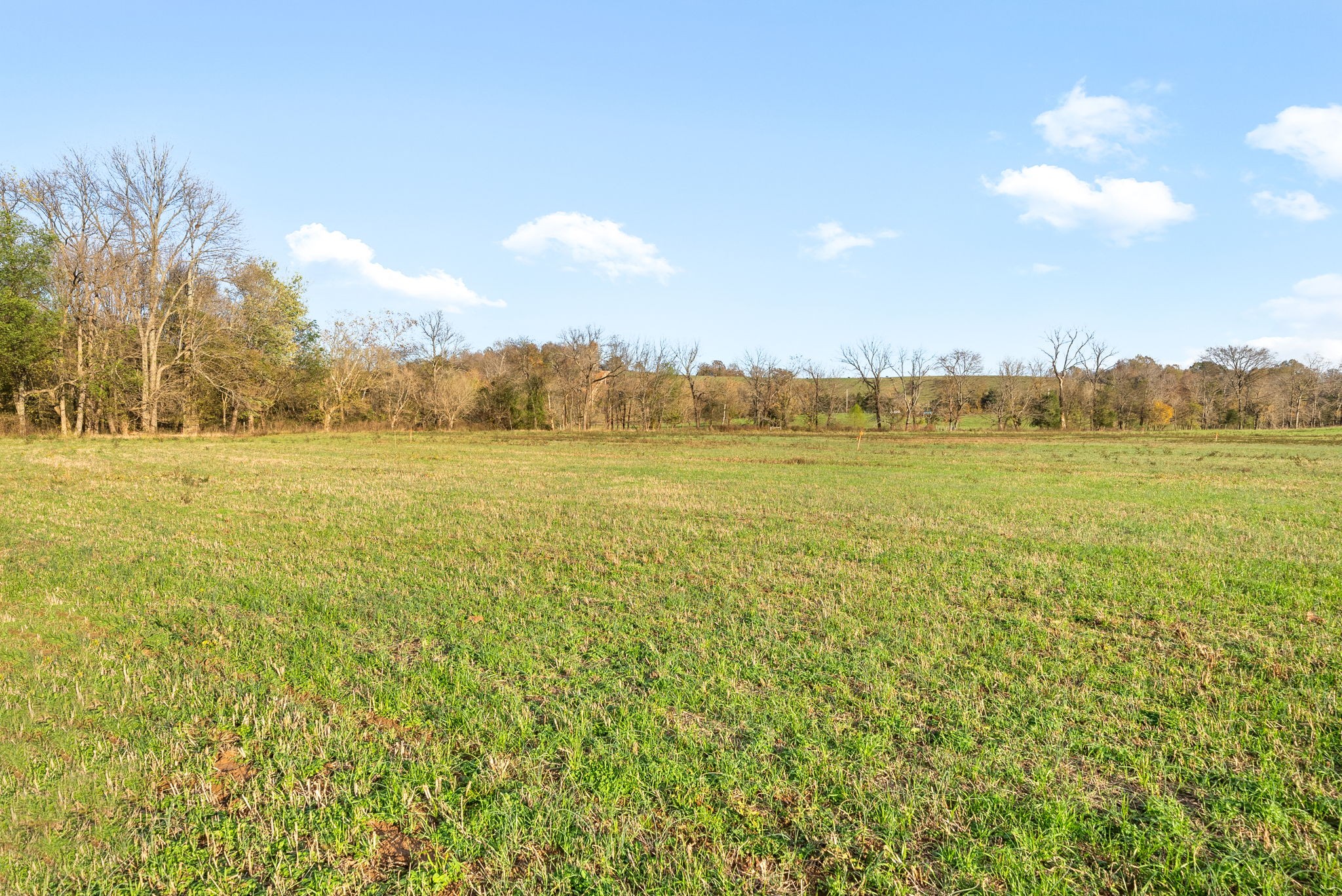 1 Possum Hollow Road Palmyra, TN 37142 - Photo 39 of 54 Gallery Image 39
