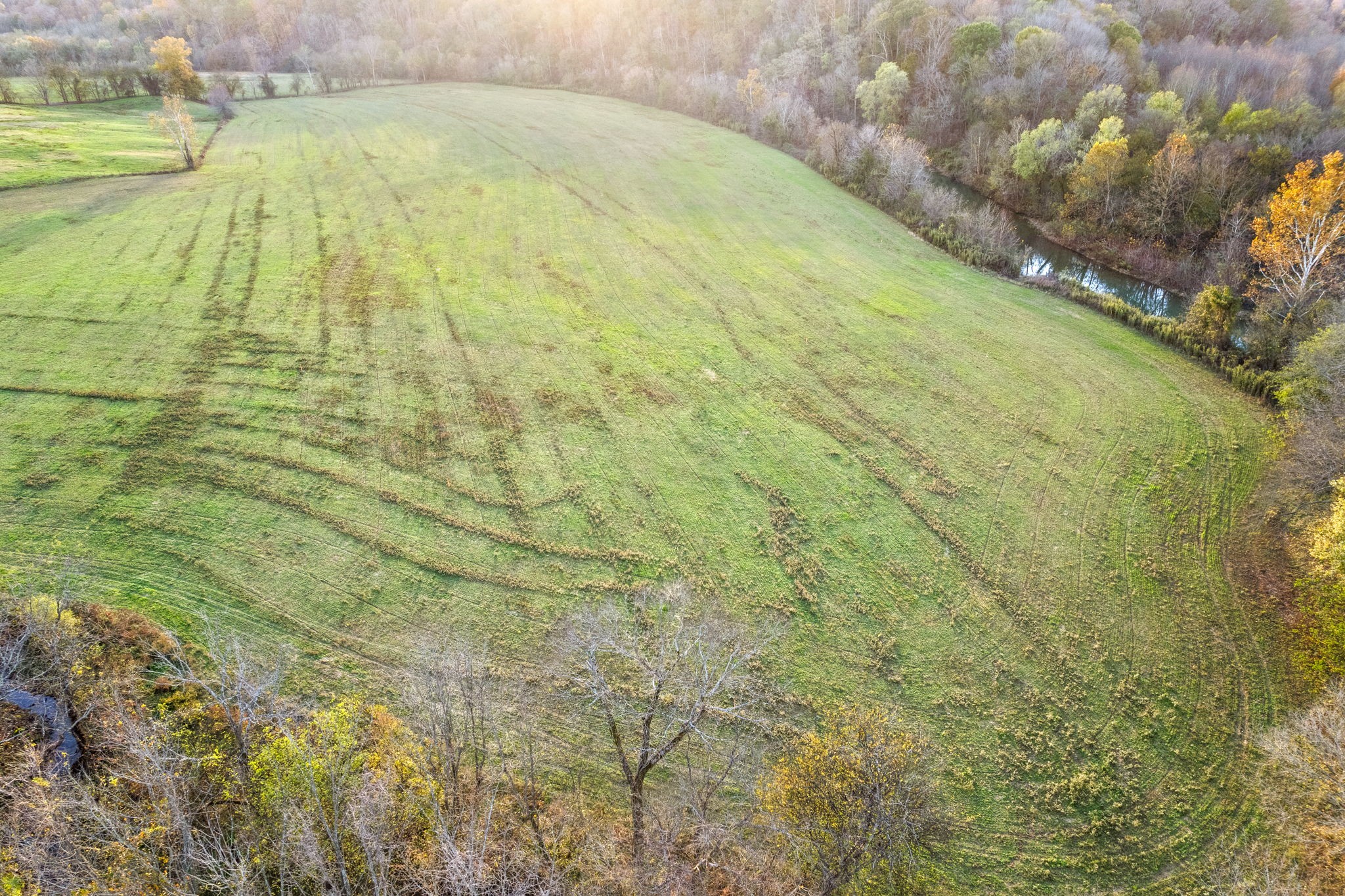 1 Possum Hollow Road Palmyra, TN 37142 - Photo 40 of 54 Gallery Image 40