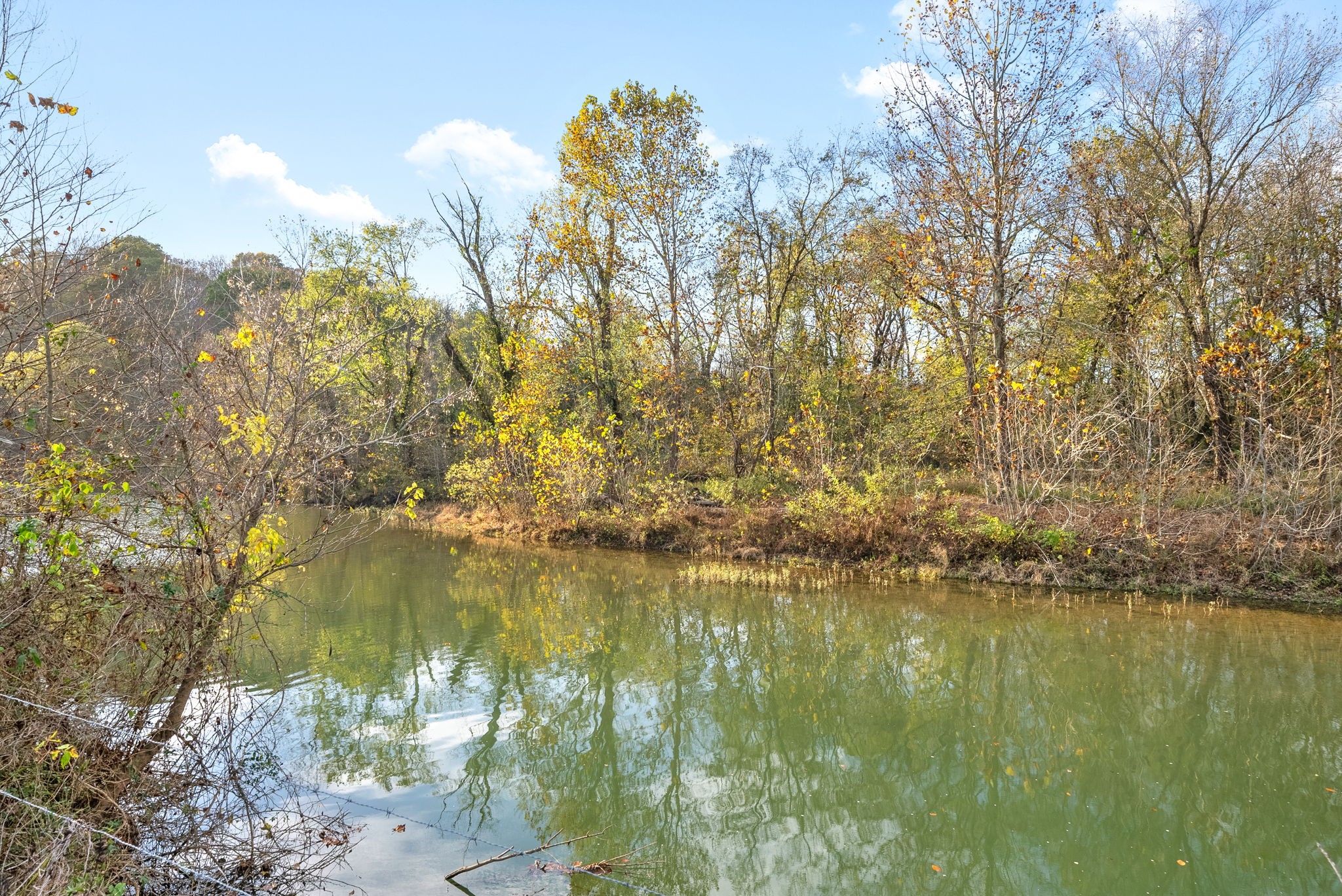 1 Possum Hollow Road Palmyra, TN 37142 - Photo 44 of 54 Gallery Image 44
