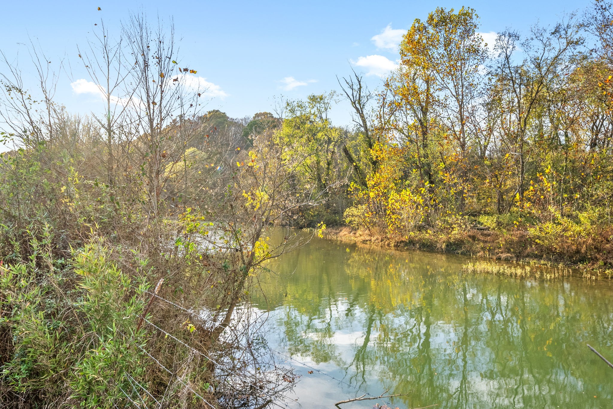 1 Possum Hollow Road Palmyra, TN 37142 - Photo 45 of 54 Gallery Image 45