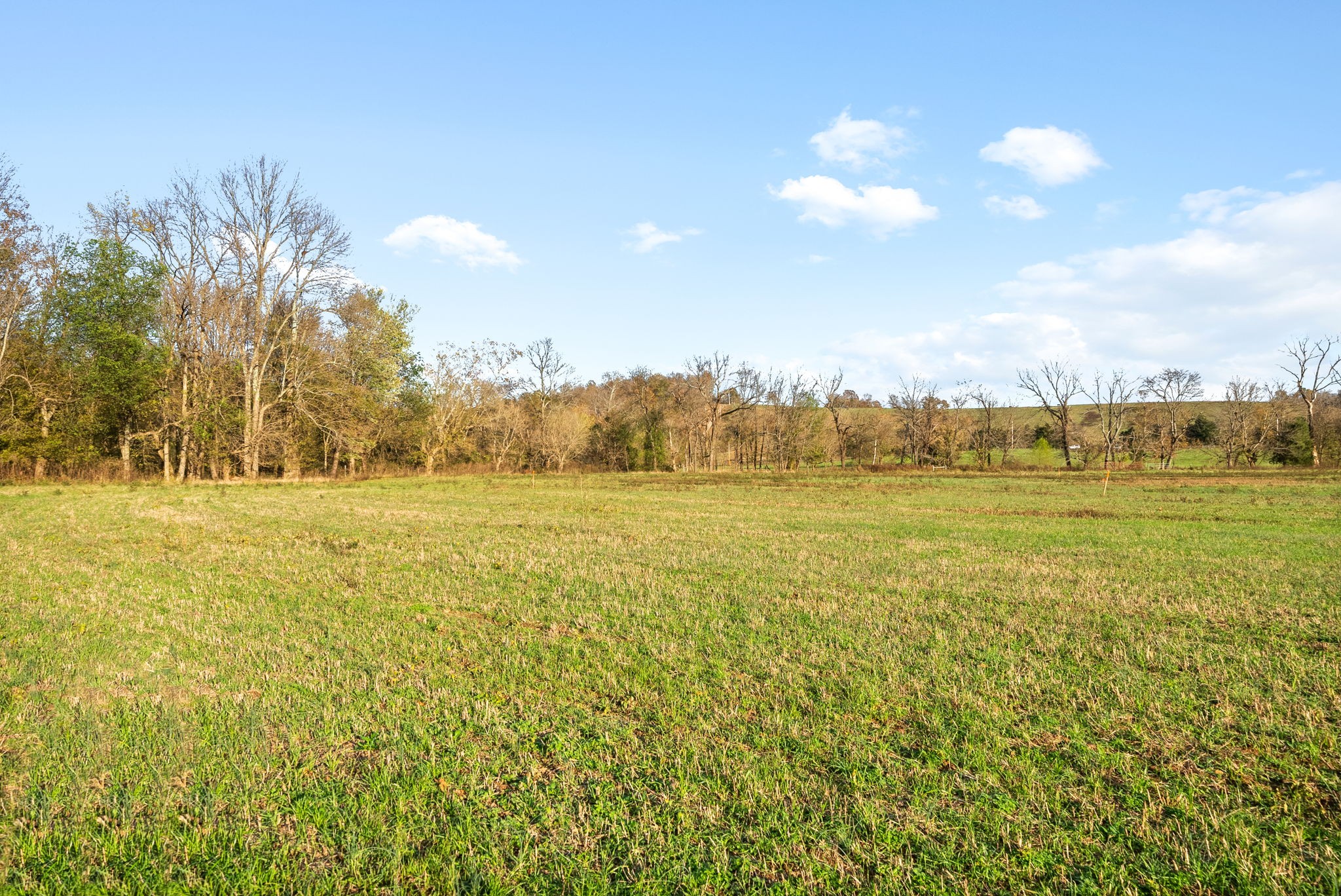 1 Possum Hollow Road Palmyra, TN 37142 - Photo 46 of 54 Gallery Image 46