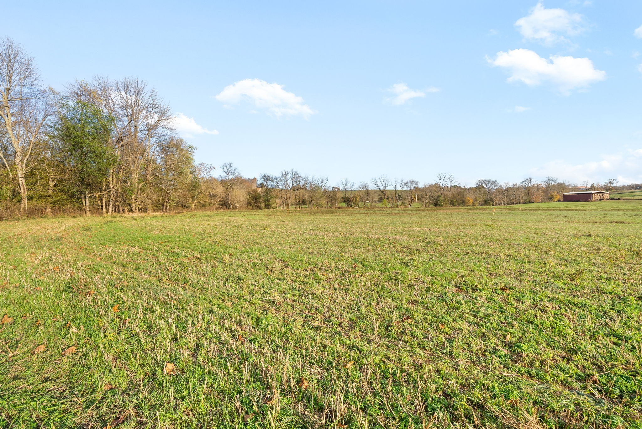 1 Possum Hollow Road Palmyra, TN 37142 - Photo 48 of 54 Gallery Image 48