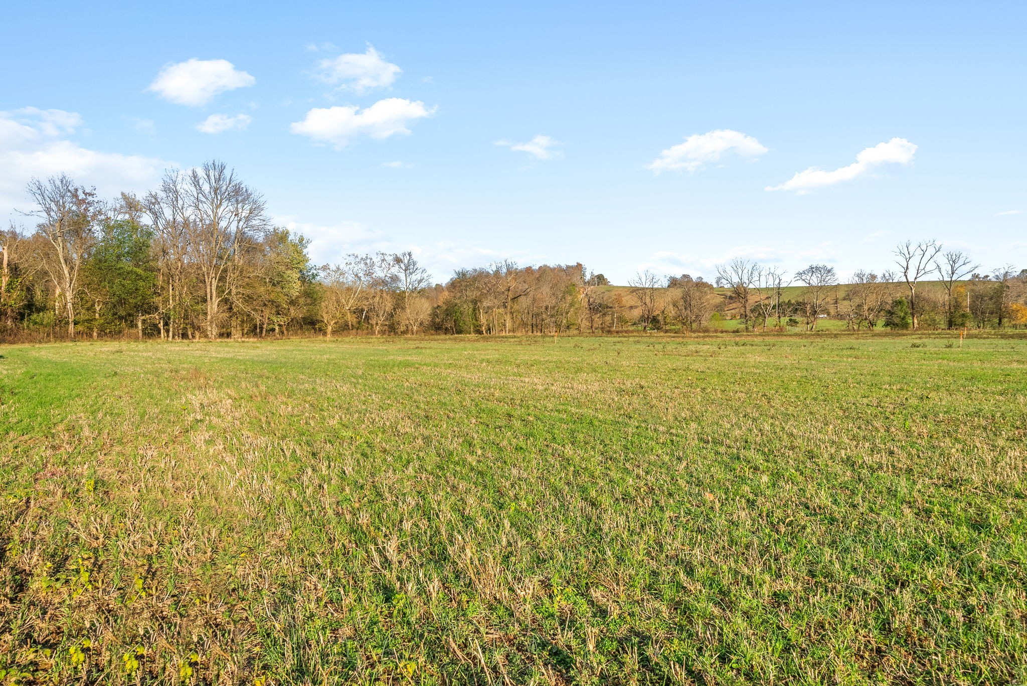 1 Possum Hollow Road Palmyra, TN 37142 - Photo 49 of 54 Gallery Image 49