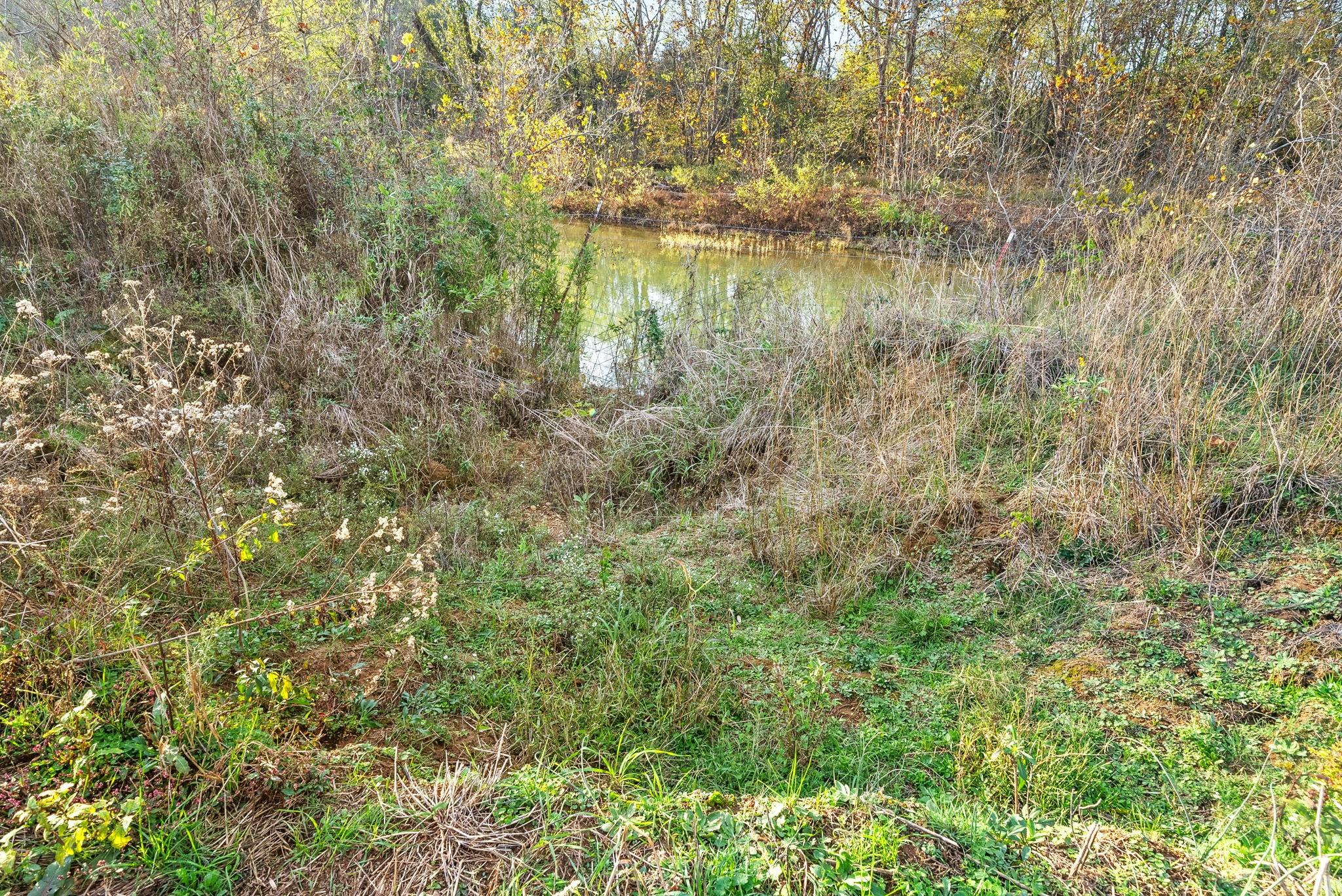 1 Possum Hollow Road Palmyra, TN 37142 - Photo 50 of 54 Gallery Image 50
