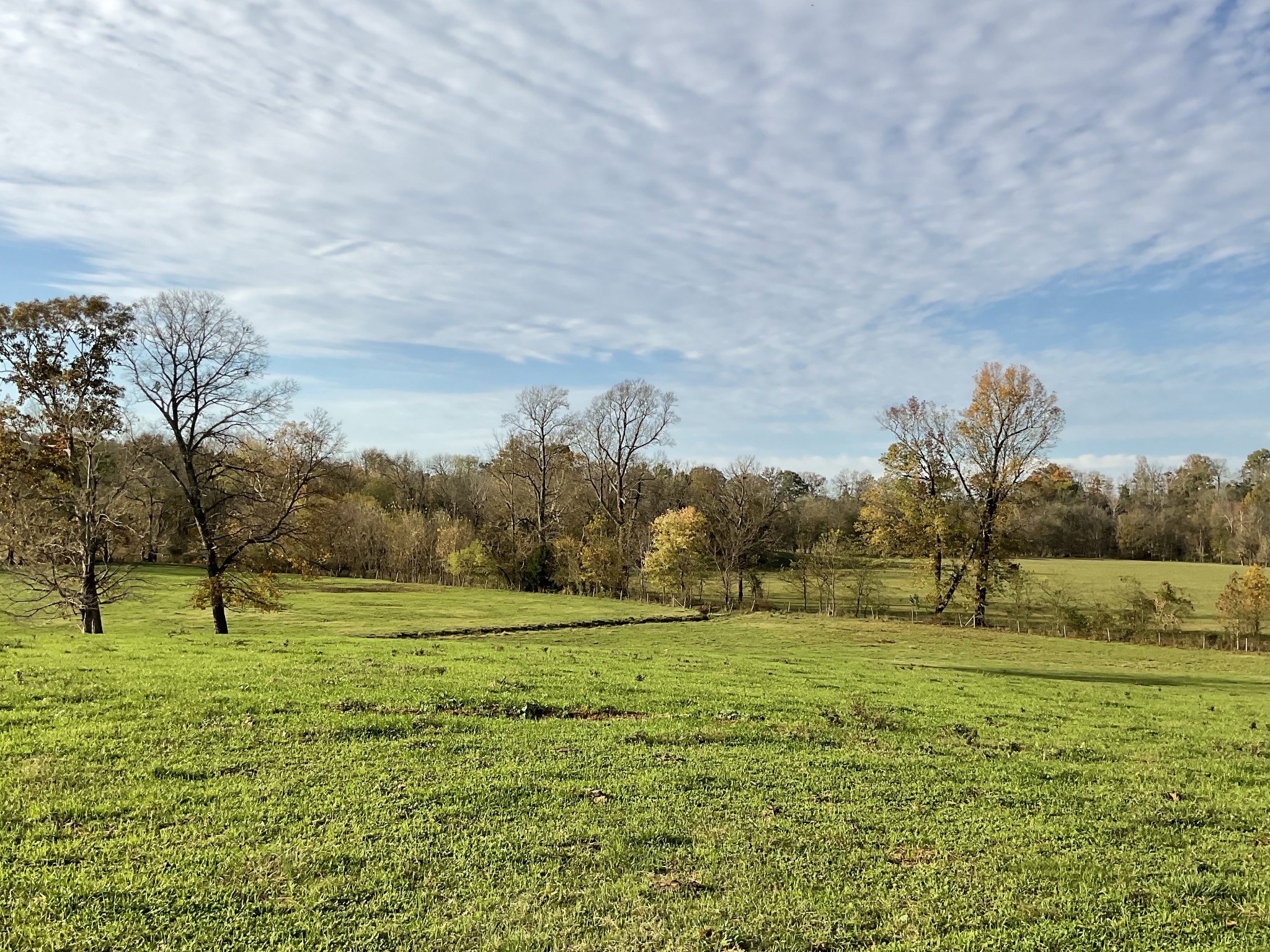 1 Possum Hollow Road Palmyra, TN 37142 - Photo 5 of 54 Gallery Image 5