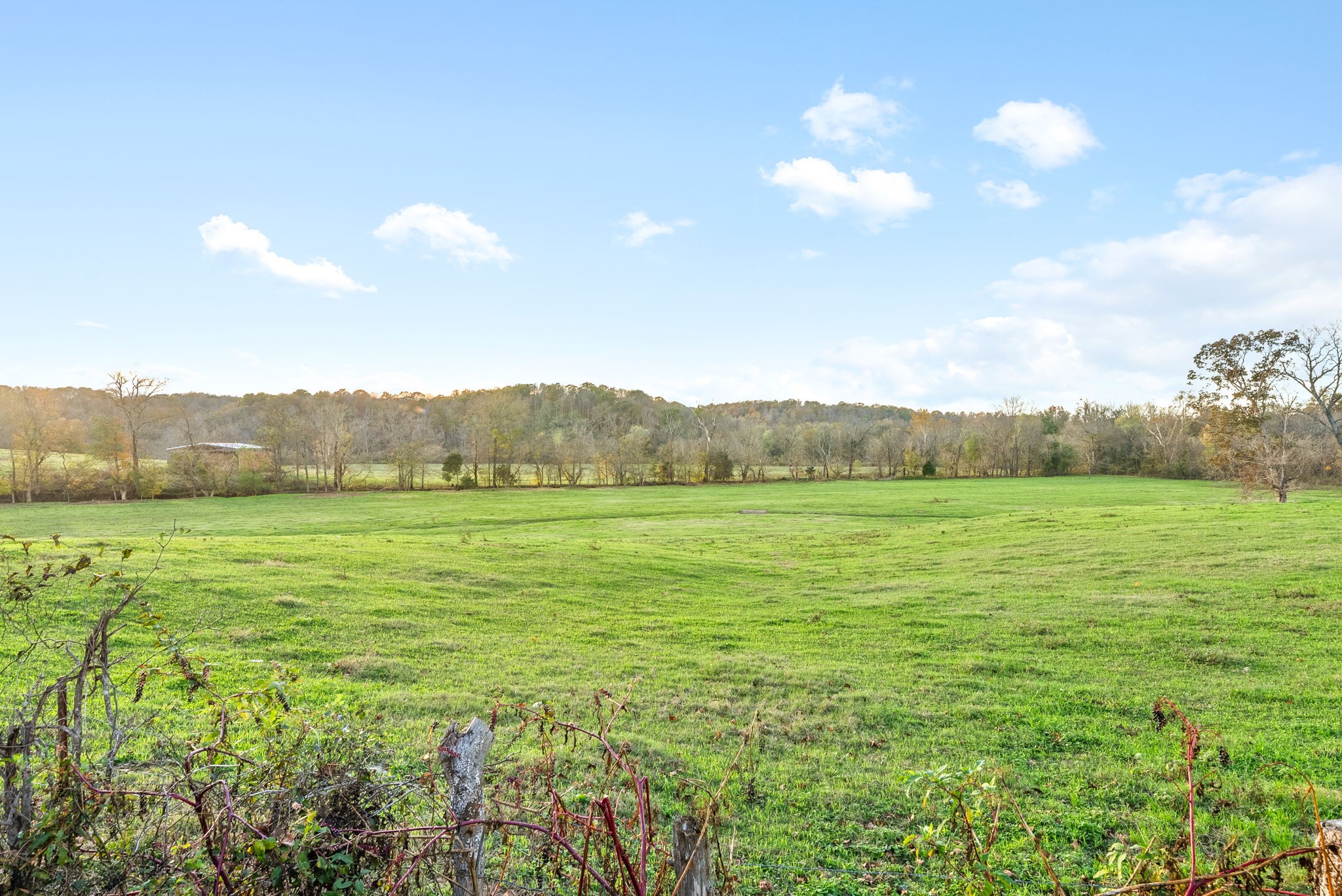 1 Possum Hollow Road Palmyra, TN 37142 - Photo 51 of 54 Gallery Image 51