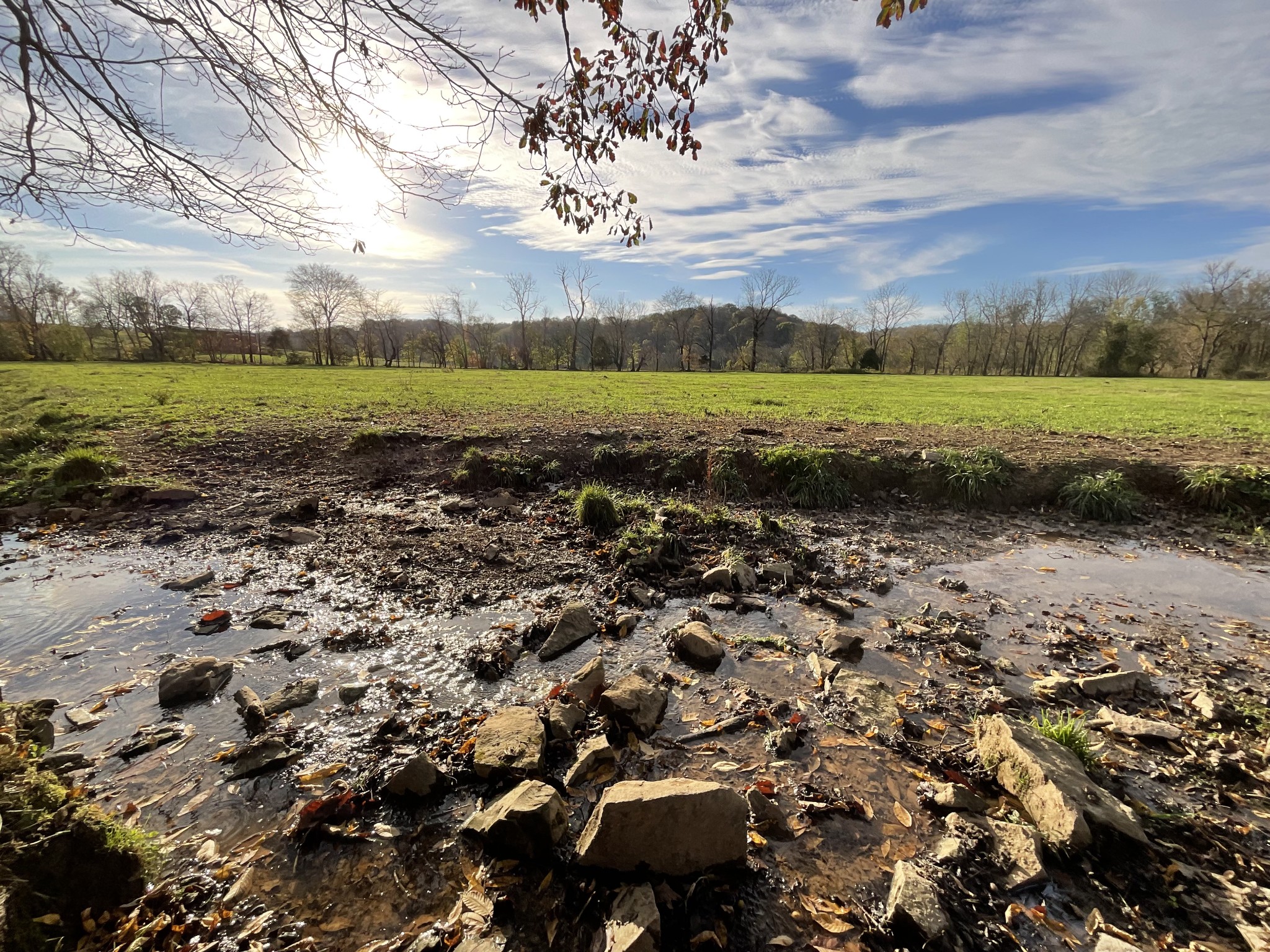 1 Possum Hollow Road Palmyra, TN 37142 - Photo 7 of 54 Gallery Image 7