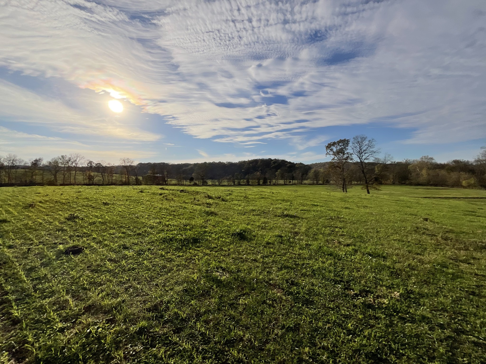 1 Possum Hollow Road Palmyra, TN 37142 - Photo 8 of 54 Gallery Image 8
