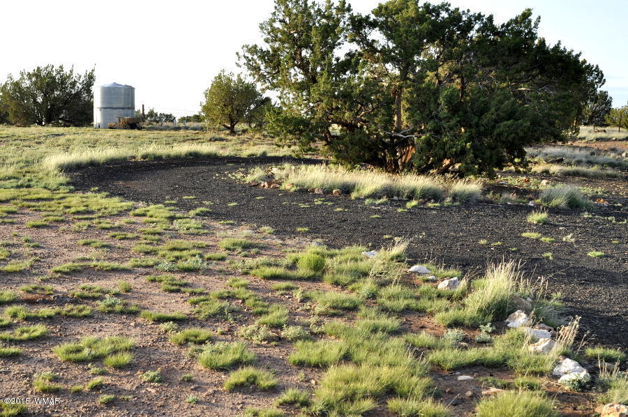 128 North Ranch Road Concho, AZ 85924 - Photo 16 of 31