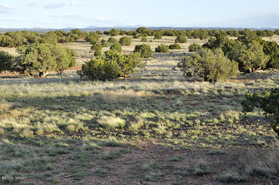 128 North Ranch Road Concho, AZ 85924 - Photo 29 of 31