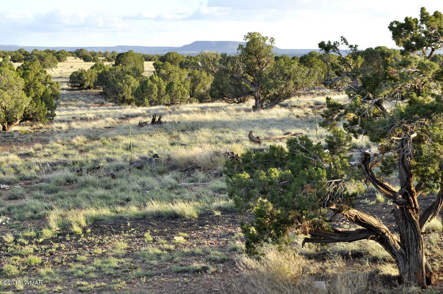 128 North Ranch Road Concho, AZ 85924 - Photo 30 of 31