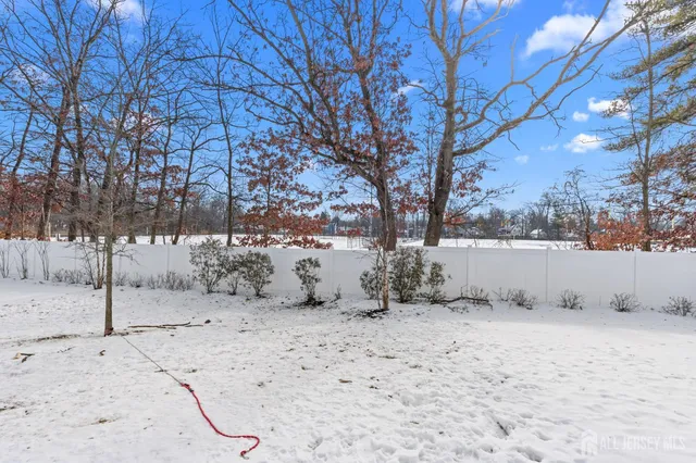 a view of yard covered with snow