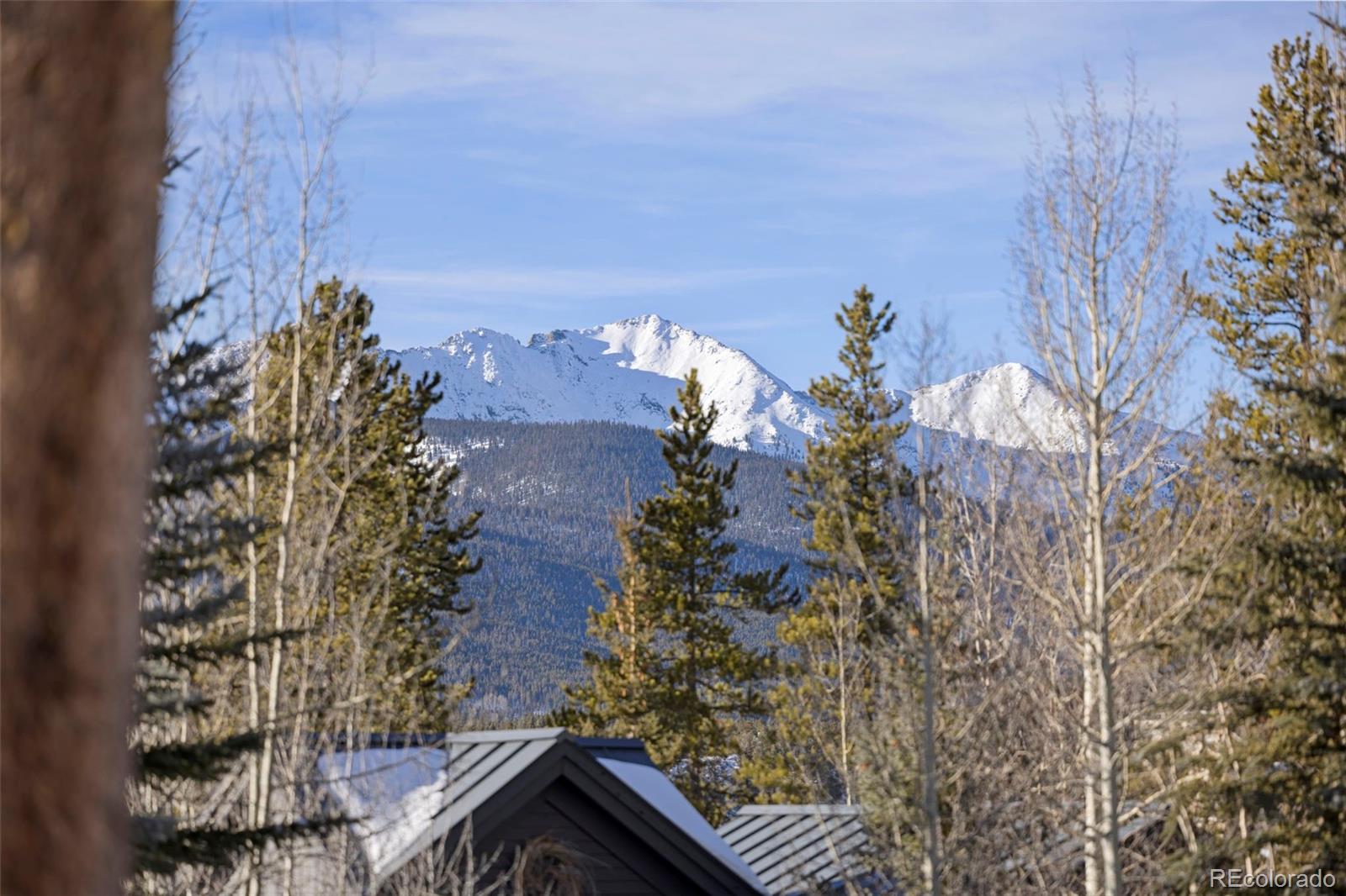 100 North Gold Flake Terrace, Unit A Breckenridge, CO 80424 - Photo 33 of 34