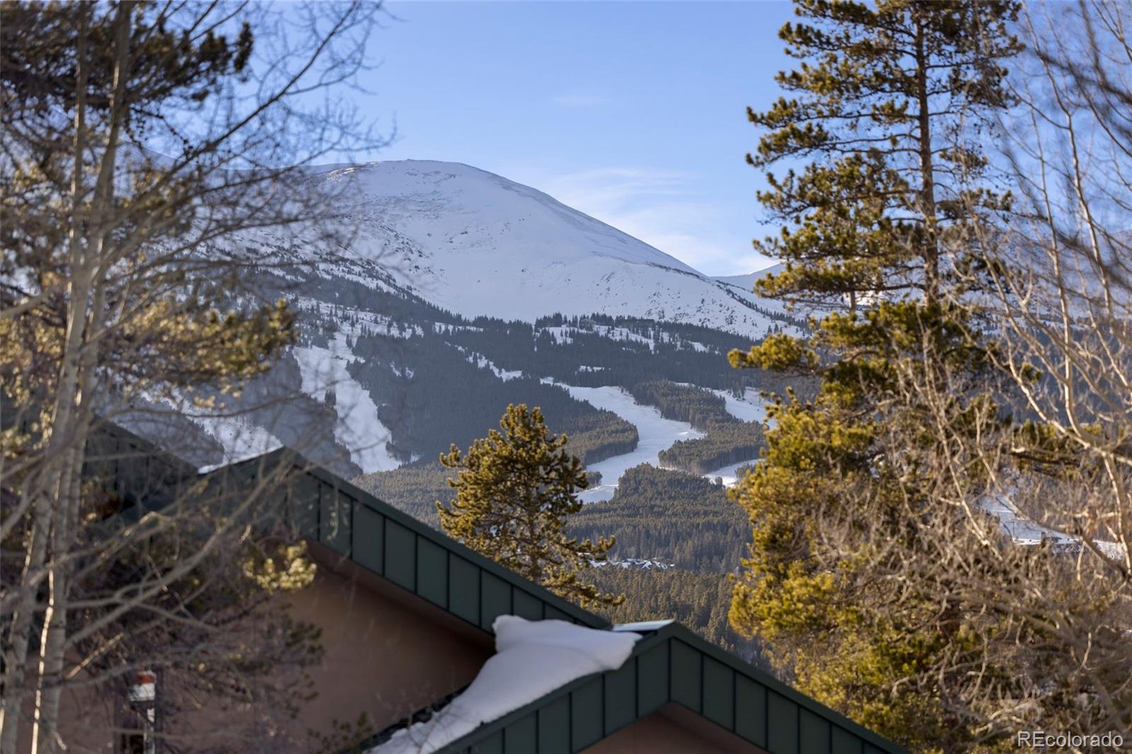 100 North Gold Flake Terrace, Unit A Breckenridge, CO 80424 - Photo 34 of 34