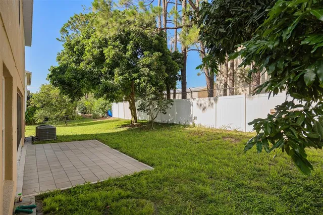 a view of a yard with plants and large trees