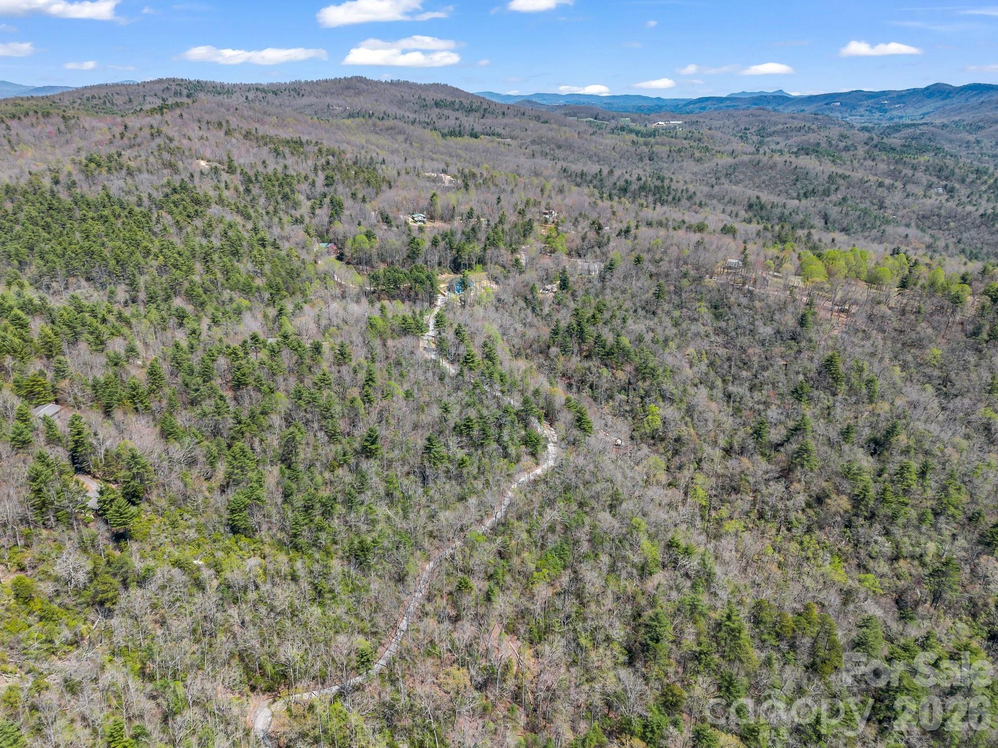 999 Bulling Creek Road Penrose, NC 28766 - Photo 25 of 37